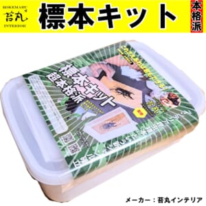 【苔丸標本キット】超本格派標本づくりアイテム(苔丸インテリアオリジナル商品)